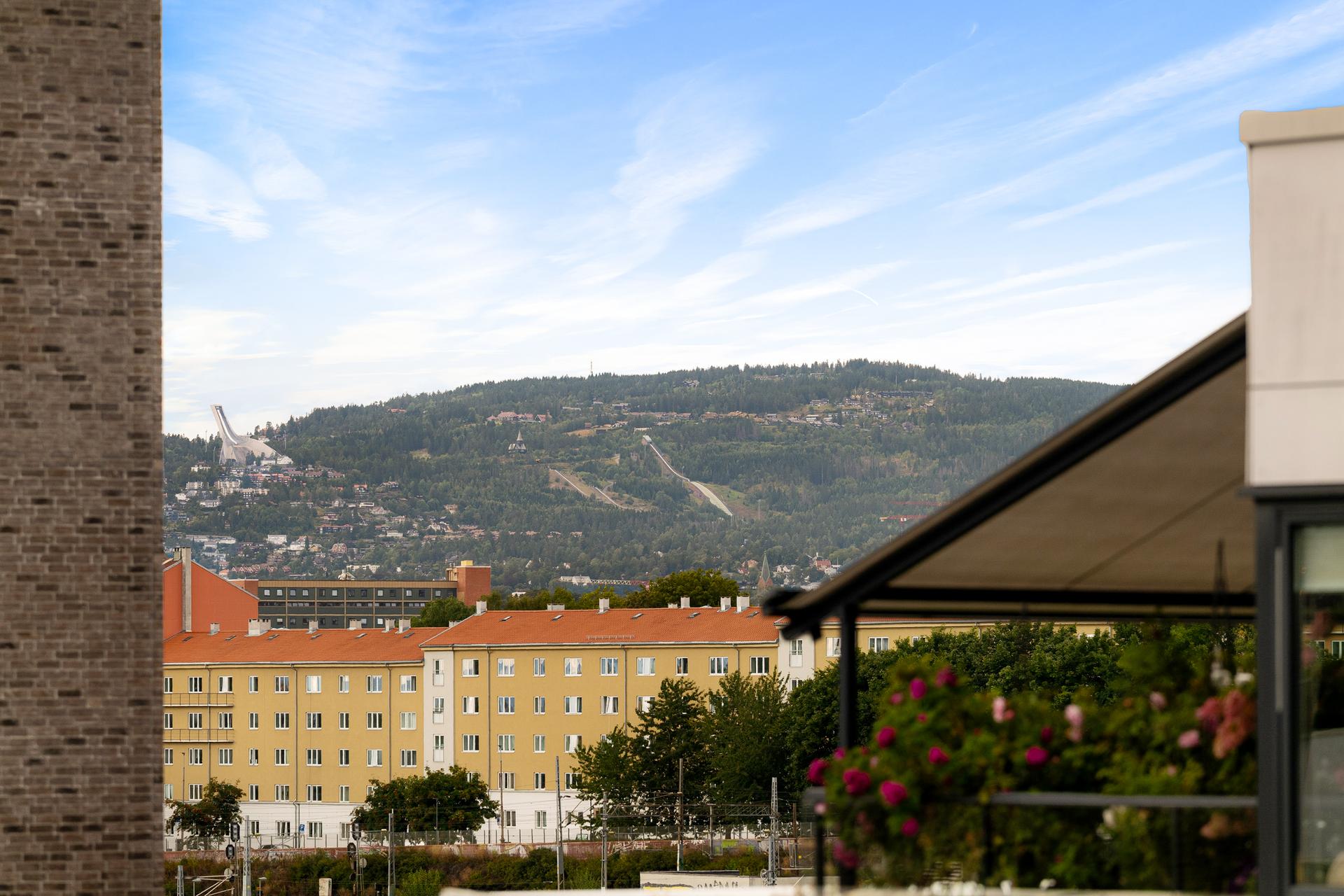 Fra leiligheten ser man mot de grønne åsene rundt Oslo.. Bilde nummer 2 av 3