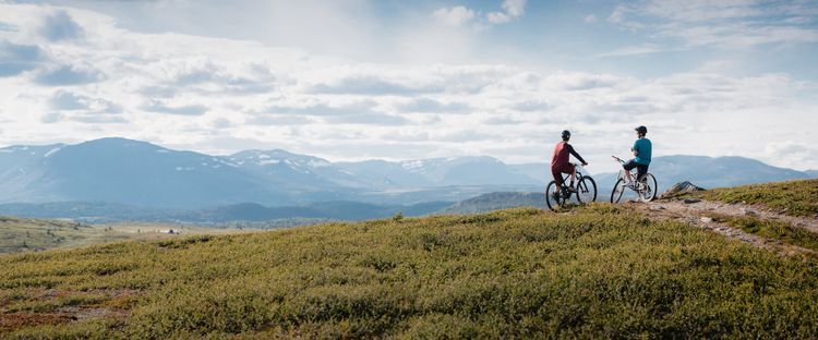 Bilde fra området