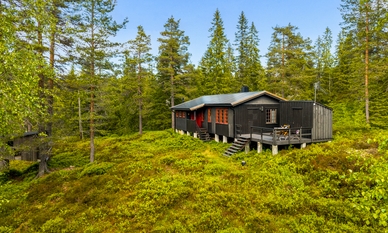 Bilde av eiendommen