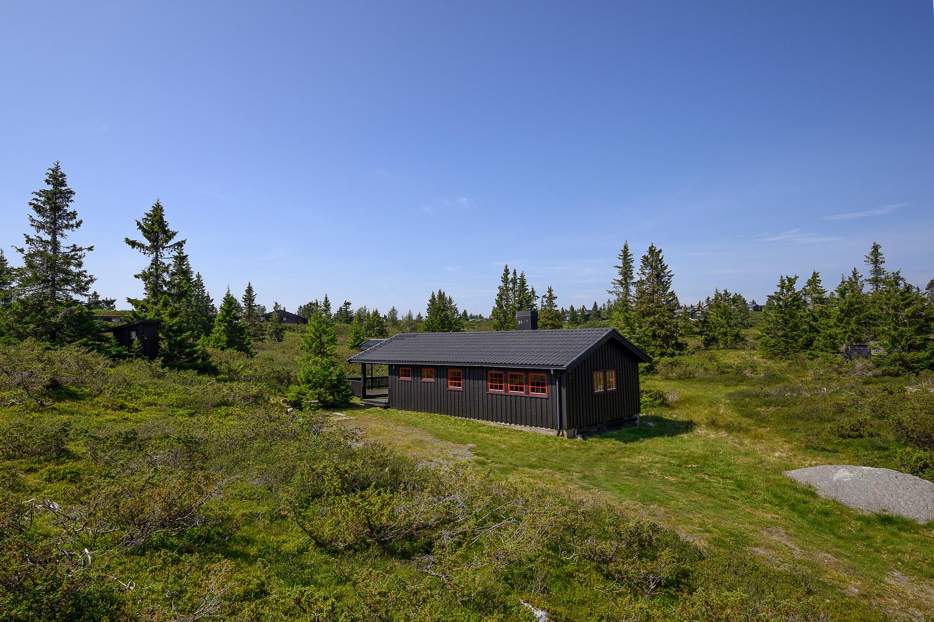 Velkommen til Elgåsen 54! Foto: Lars Marius Bækkevold.. Bilde nummer 1 av 3
