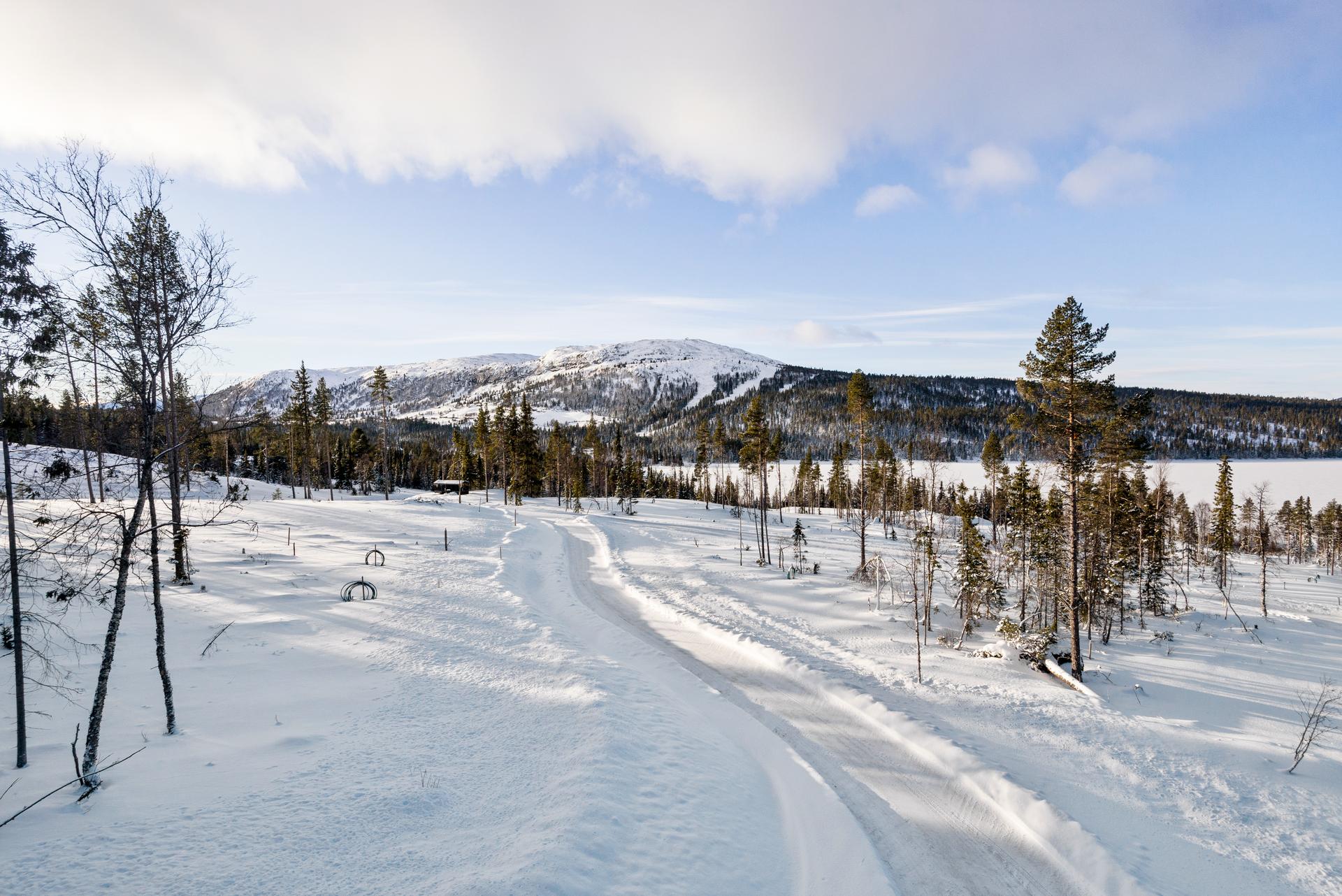 Tomtefeltet med alpinbakkene i Valsfjell i bakgrunnen.. Bilde nummer 3 av 3