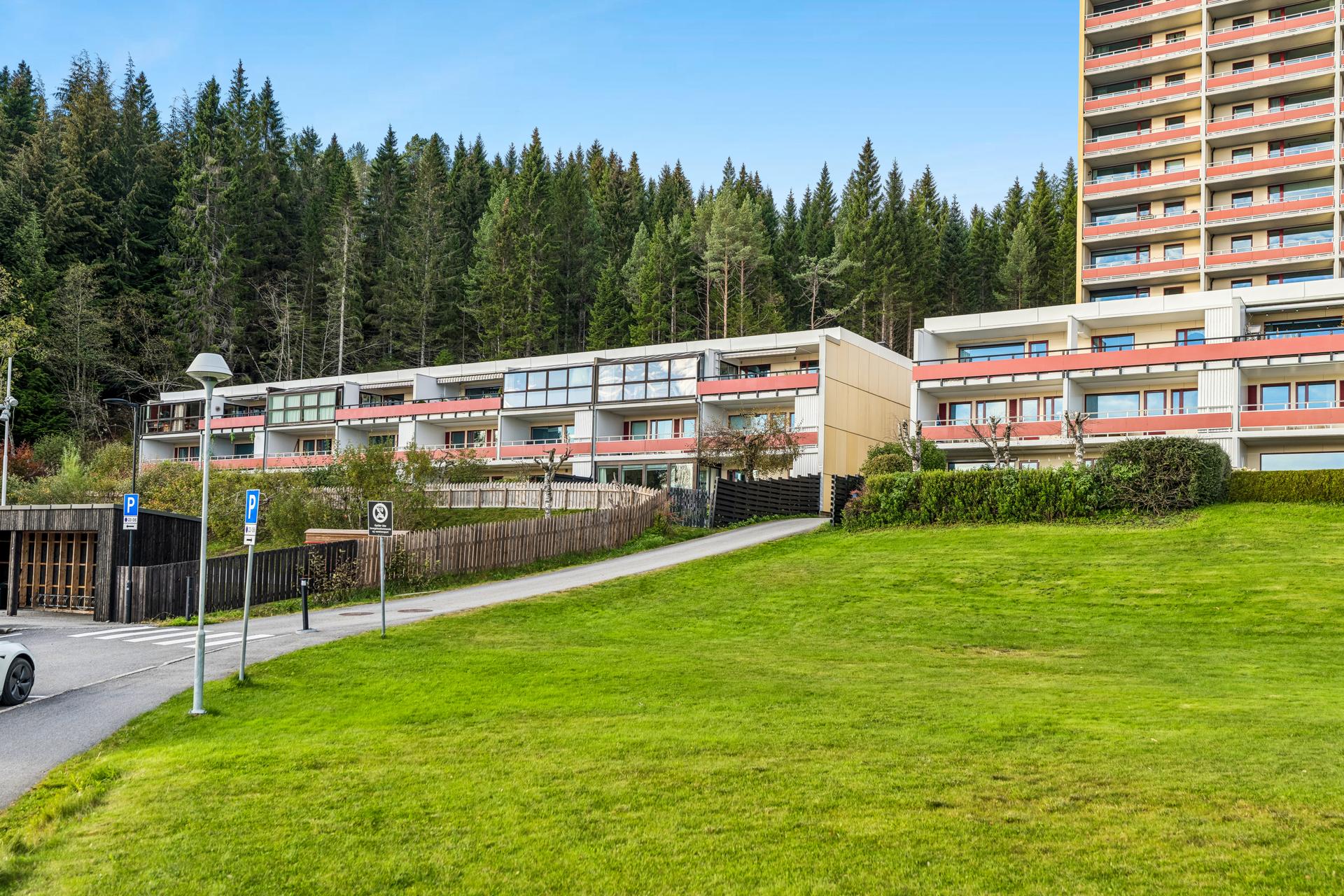 Velkommen til Sollivegen 95 E
(Foto EFK: Jay M.). Bilde nummer 1 av 3