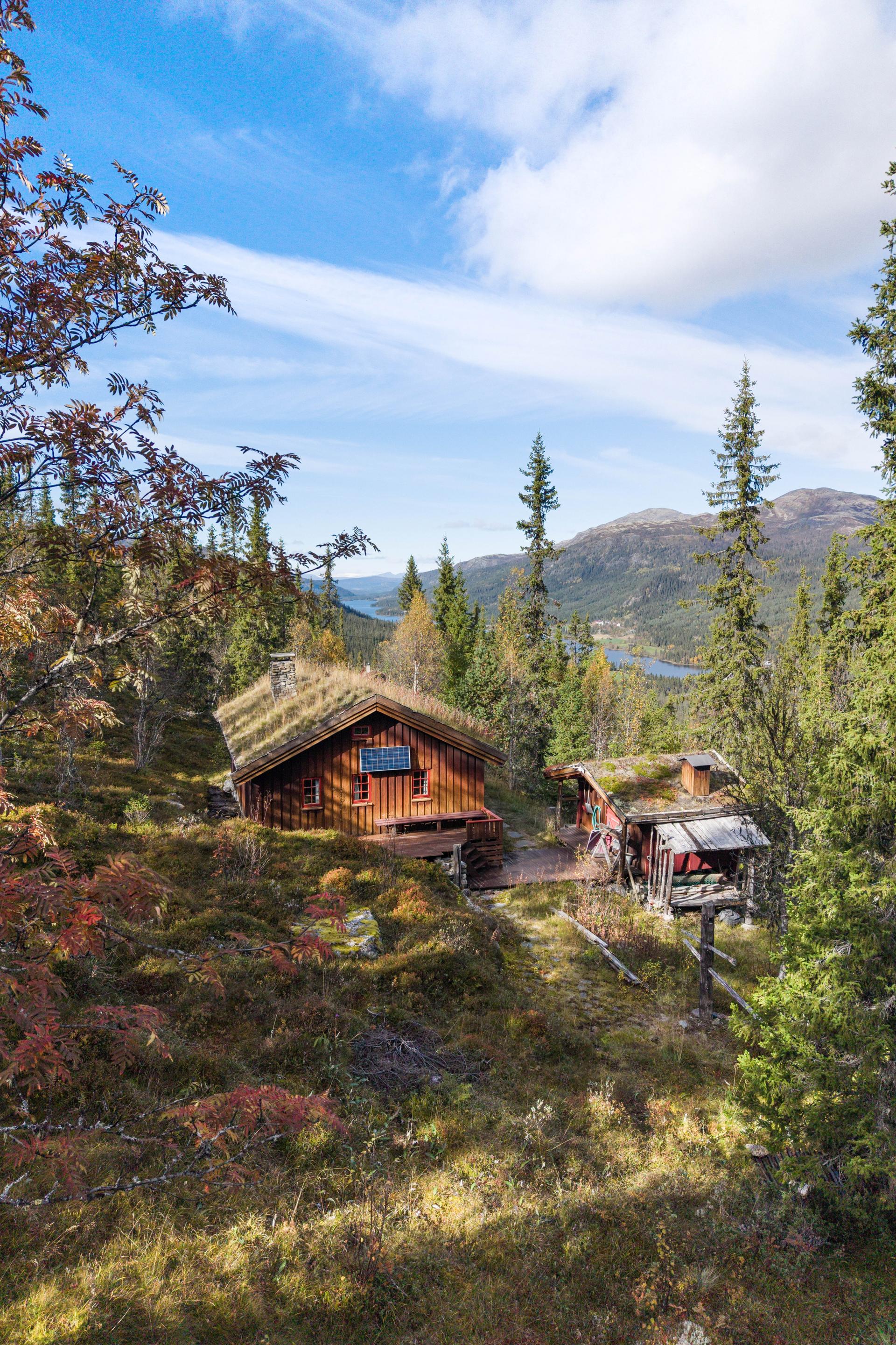 Eiendommen ligger usjenert til i skogsterreng i Espedalen, et område kjent som 'Vår Vennlige Villmark'.. Bilde nummer 3 av 3