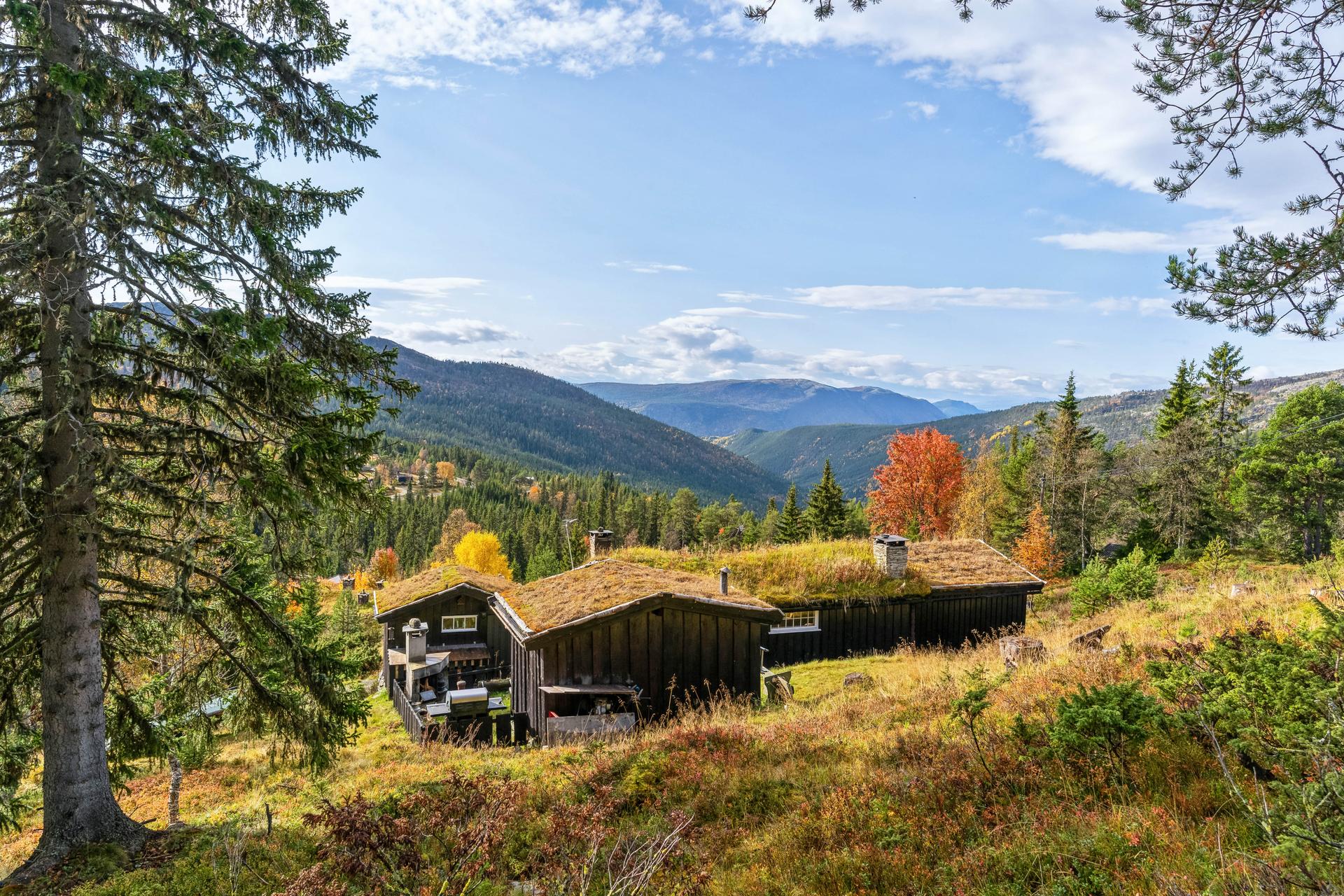 Trivelig hyttetun med en sentral beliggenhet på Mysusæter nedenfor Holesætre og nordøst for Rondane Spa Høyfjellshotell. . Bilde nummer 2 av 3